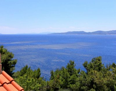 Studio apartman za 3 osobe (DIjana Ap1)