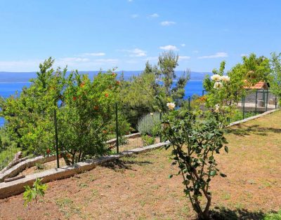 Studio apartman za 3 osobe (Dijana Ap4)