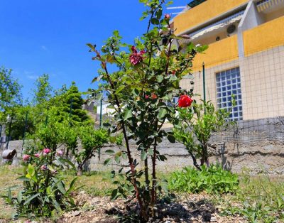 Studio apartman za 3 osobe (Dijana Ap4)