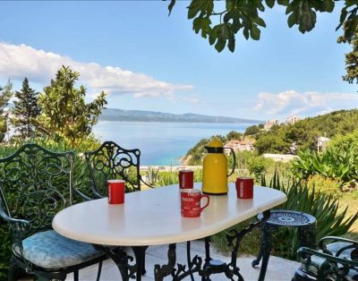Large villa for 10 with pool
